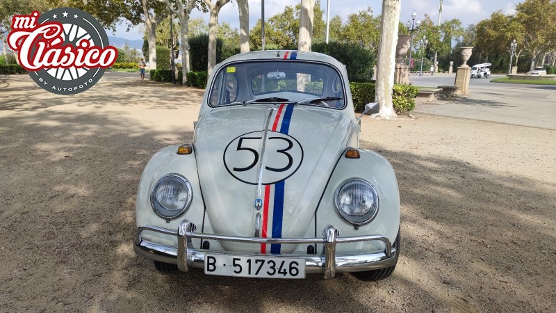 Beetle Herbie 66